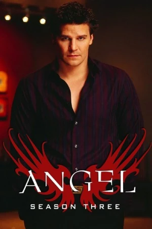  Angel - Saison 3 affiche 
