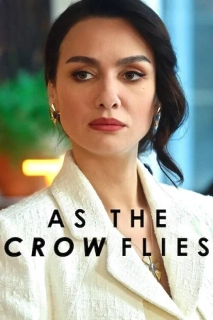  Les Ailes de l’Ambition - Saison 3 affiche 