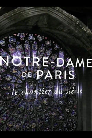  Notre-Dame de Paris, Le Chantier Du Siècle - Saison 1 affiche 