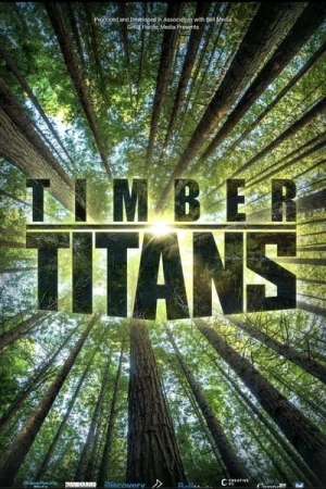  Timber Titans - Saison 1 affiche 