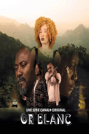  Or blanc - Saison 1 affiche 