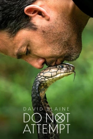 David Blaine : Aux frontières de l'impossible - Saison 1 affiche 